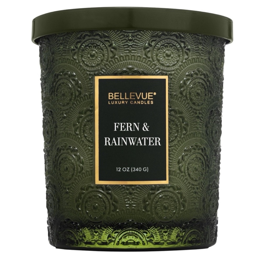 Bellevue Double Wick 12 oz
Luxury Candle ~ FERN AND
RAINWATER ~ New!